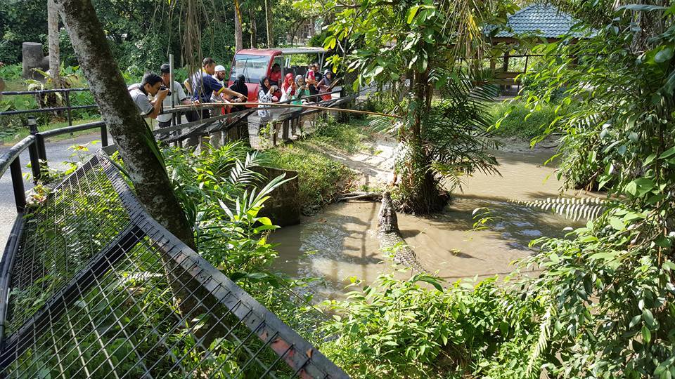 zoo taiping