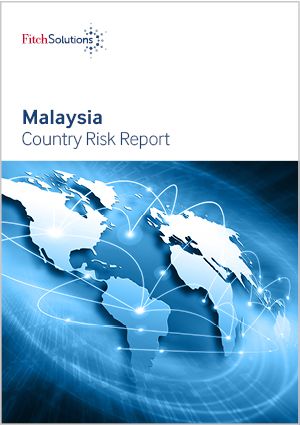 Fitch Solutions Country Risk & Industry Research