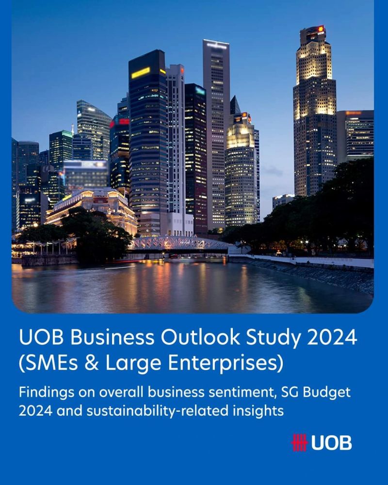 UOB Business Outlook Study 2024 (SMEs & Large Enterprises)