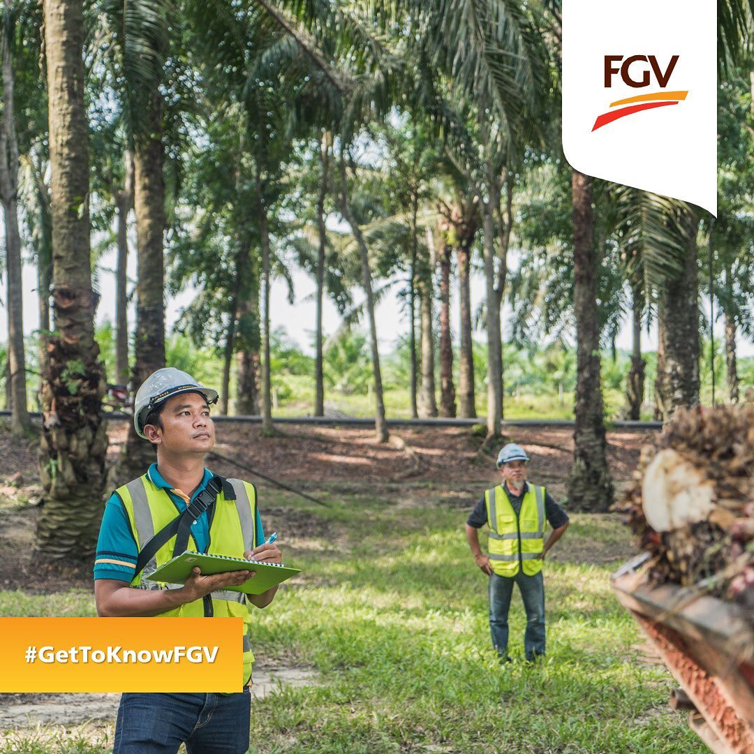 fgv