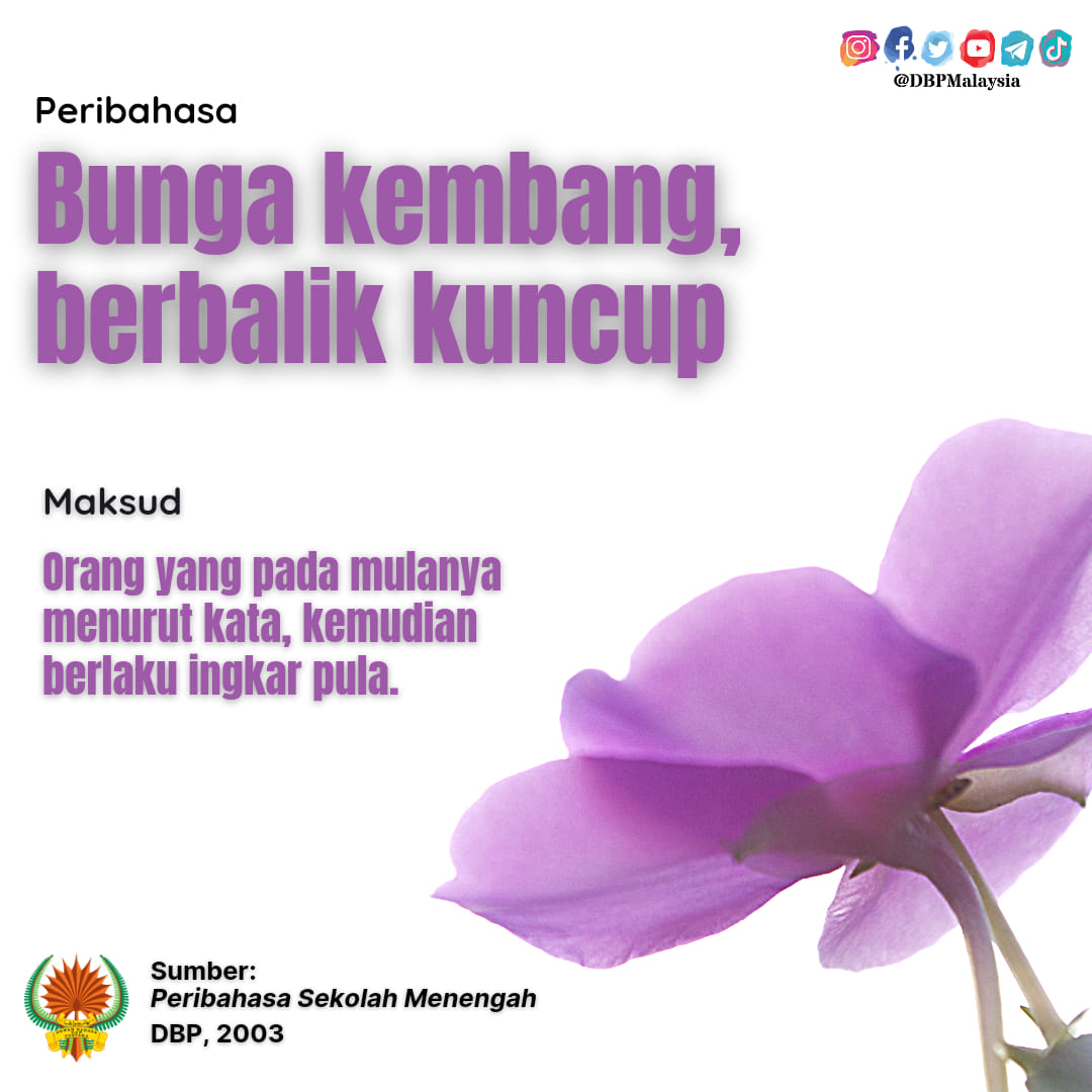 peribahasa