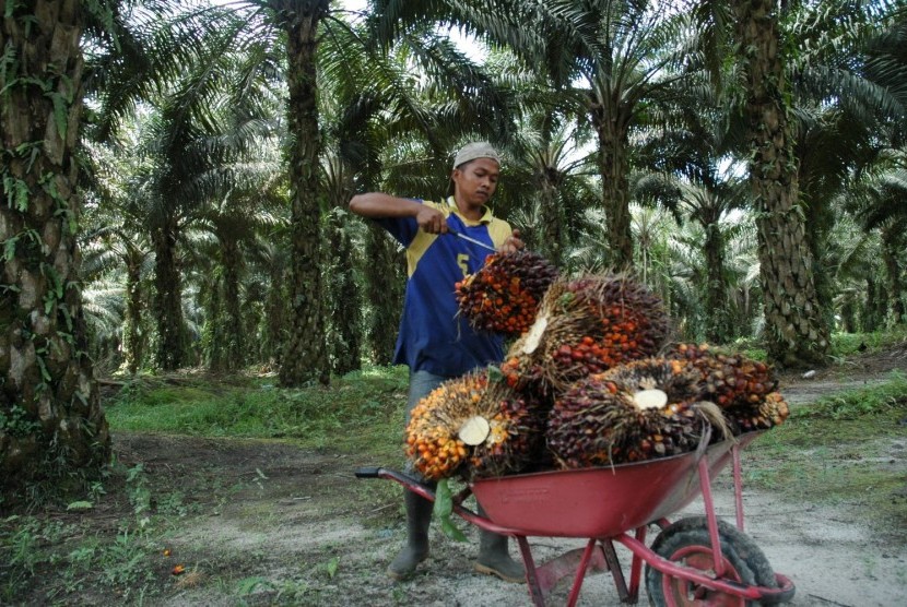 pekerja kebun diperlukan