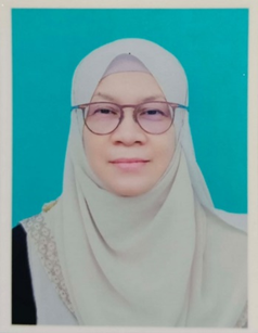 Profesor ChM. Dr Intan Safinar Ismail