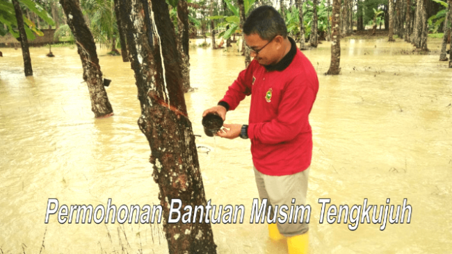 Skim Bantuan Musim Tengkujuh Untuk Pekebun Kecil Risda Ditambah Baik