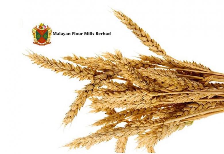 Malayan Flour Mills Berhad (MFM)