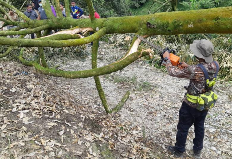 Hutan Simpan Batu Talam