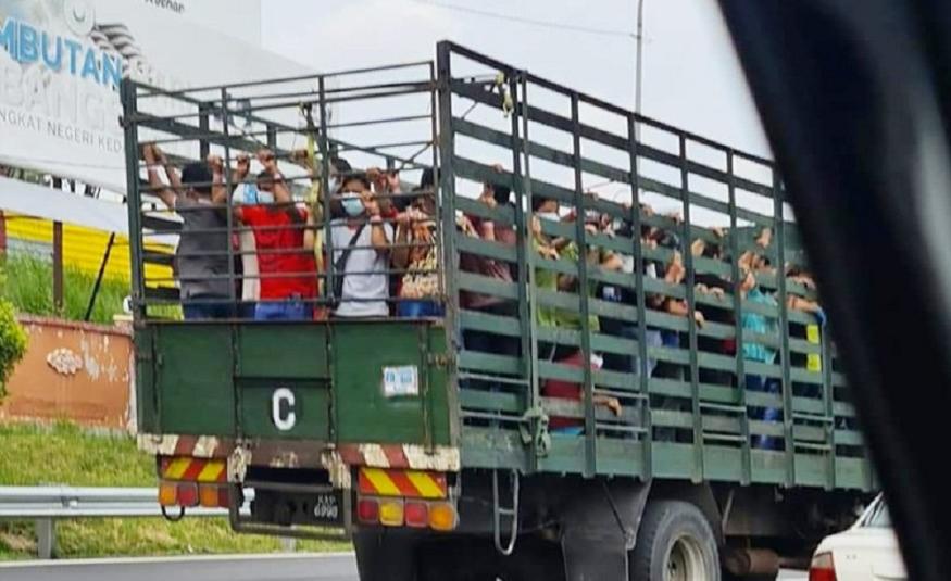 Kilang pemprosesan ayam angkut 48 pekerja positif COVID-19 naik lori.