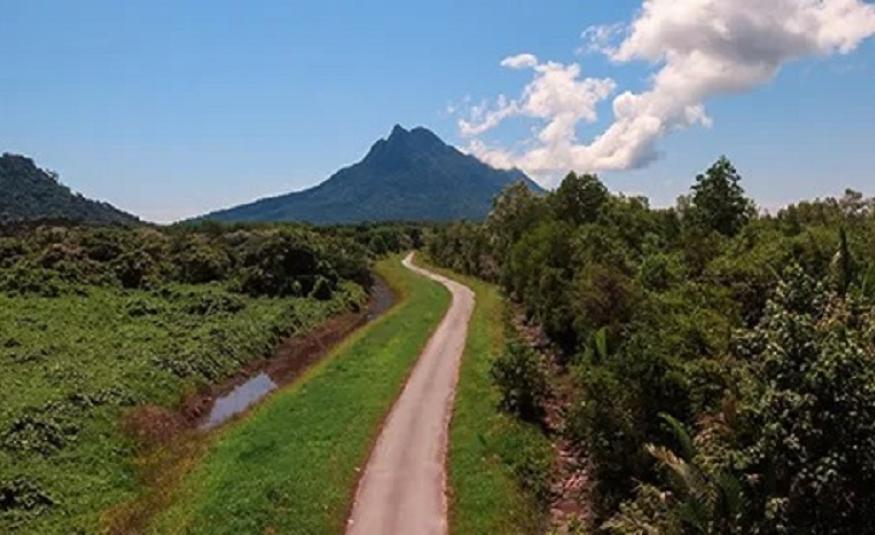 Hutan Sarawak