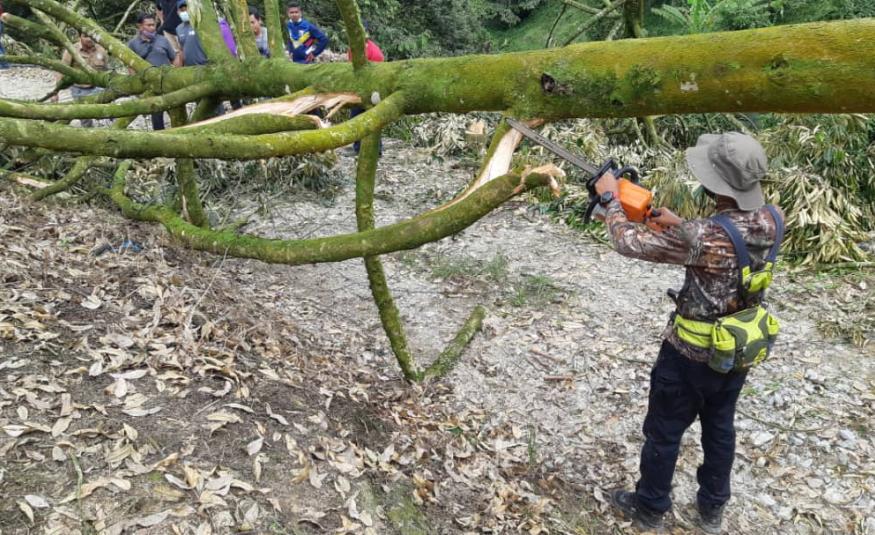 Hutan Simpan Batu Talam