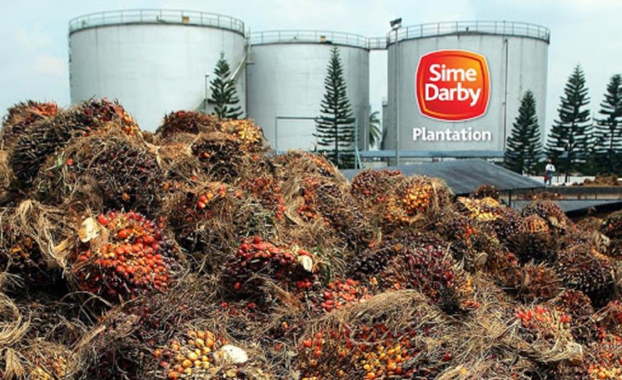 Sime Darby Plantation