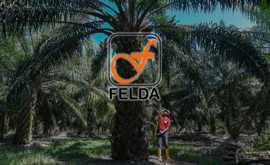 Felda