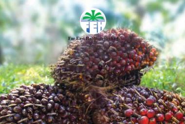 Far East_DagangNews2026