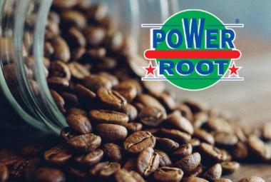 Power Root_DagangNews2026